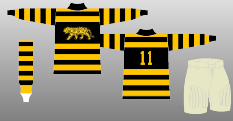 hamilton tigers jersey