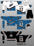 Fanmats Washington Capitals Starter - Uniform Alternate Jersey