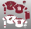 Coyotes reveal jersey that hearkens back to 1999-2003 seasons - Phoenix  Business Journal