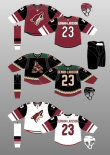 [Collection] Arizona Coyotes captains game worn jerseys - one from each  captain in Yotes history : r/hockeyjerseys