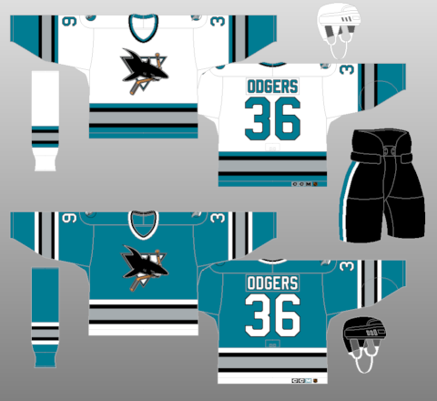 San Jose Sharks 1991 - 1992 road Game Worn Jersey, the jers…
